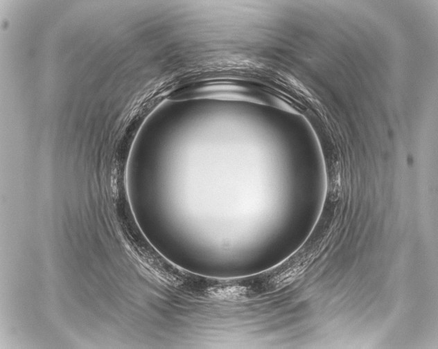 X0000059100452200510101223