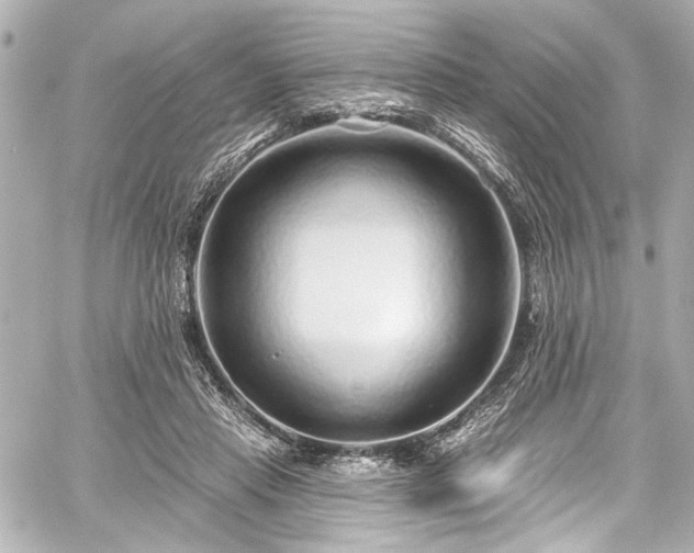 X0000059100453200510101223