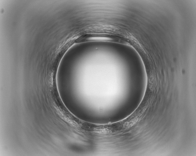 X0000059100454200510101223