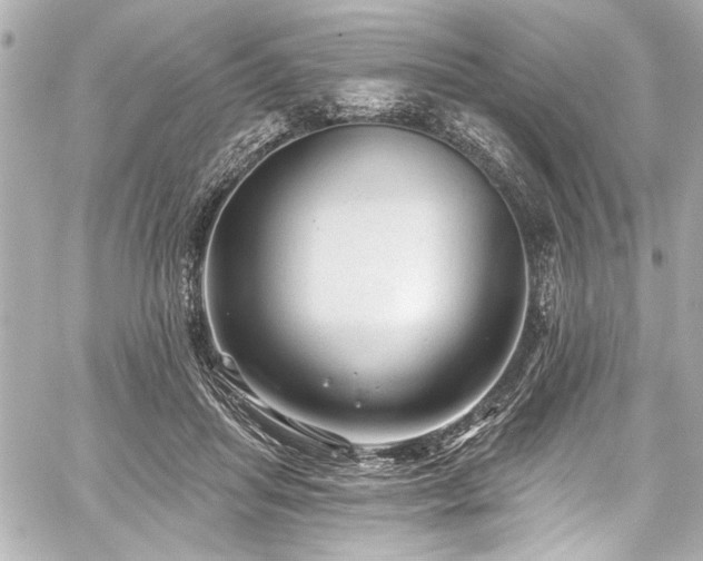 X0000059100455200510101223