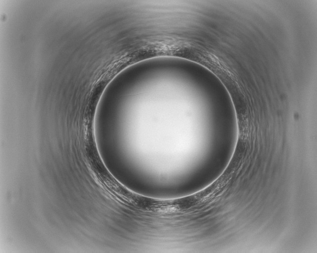 X0000059100456200510101223