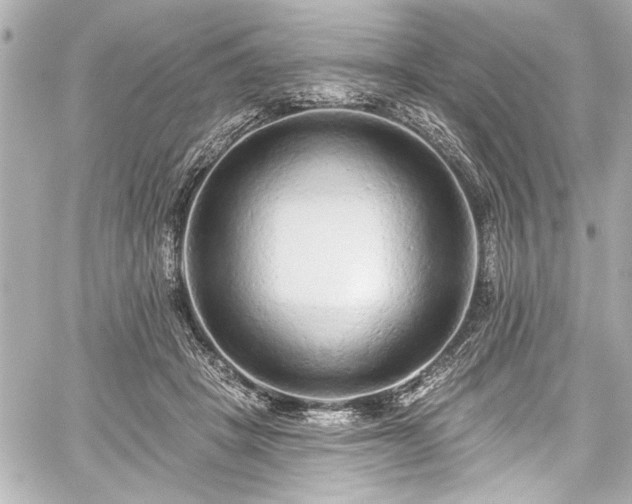 X0000059100457200510101223