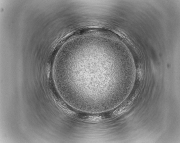 X0000059100458200510101223