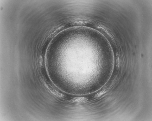 X0000059100459200510101223