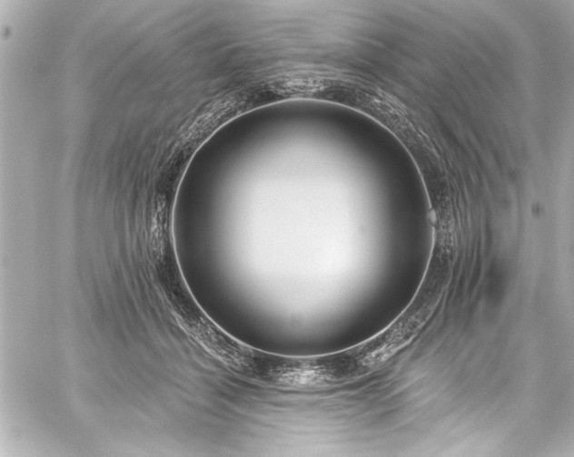 X0000059100460200510101223