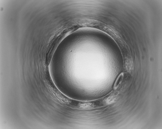 X0000059100461200510101223