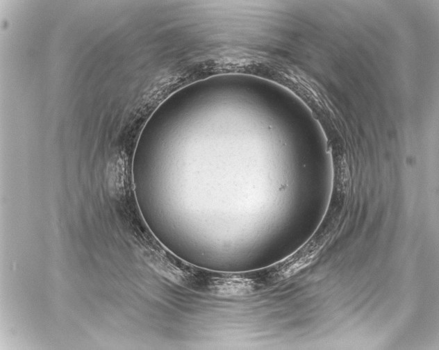 X0000059100463200510101223