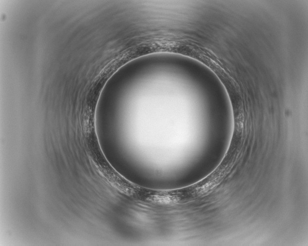 X0000059100464200510101223