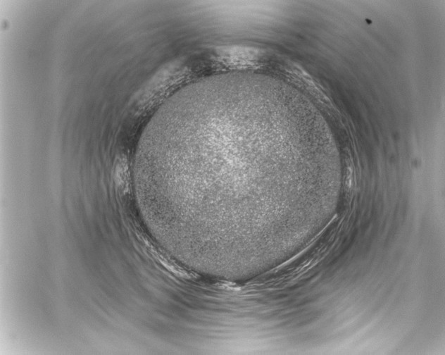 X0000059100465200510101223