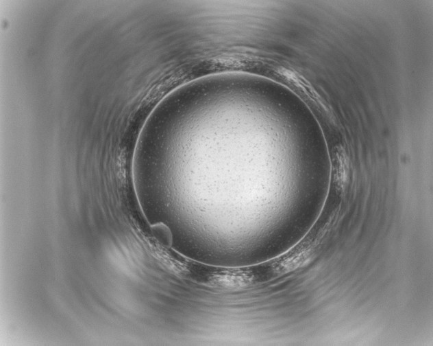 X0000059100466200510101223