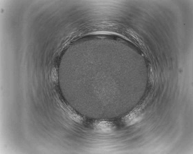 X0000059100467200510101223