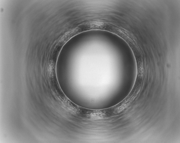 X0000059100468200510101223