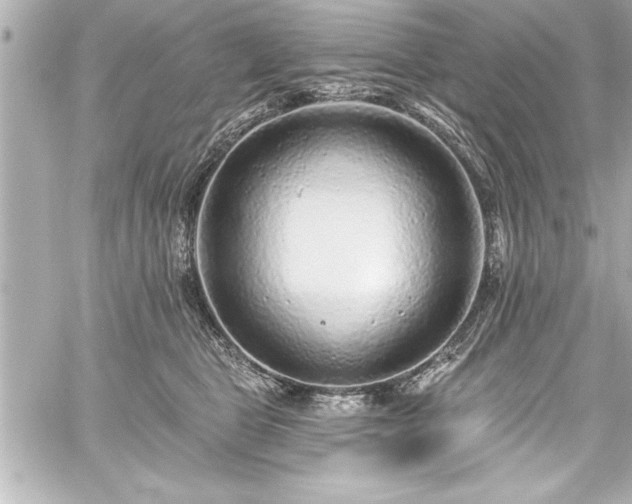 X0000059100469200510101223