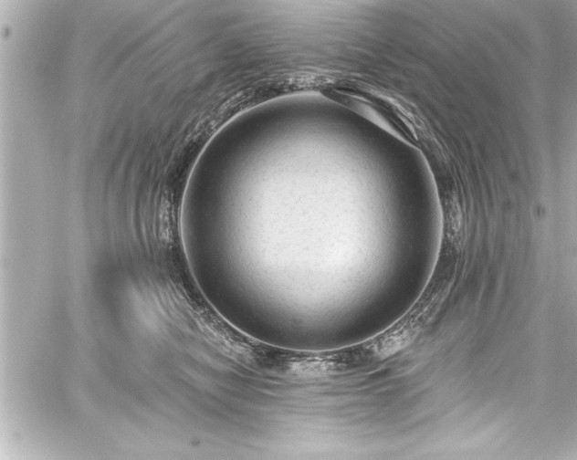 X0000059100470200510101223