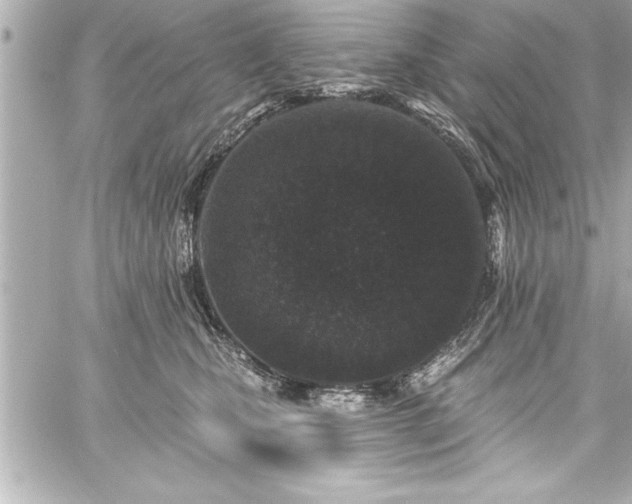 X0000059100471200510101223