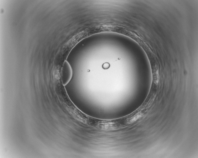 X0000059100472200510101223