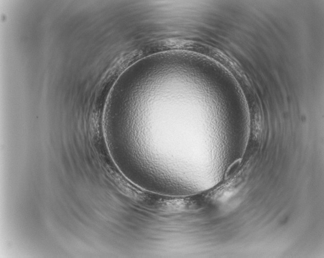 X0000059100473200510101223