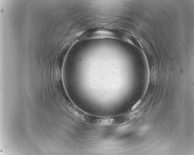 X0000059100474200510101223