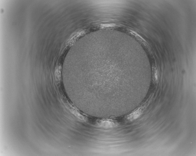 X0000059100475200510101223