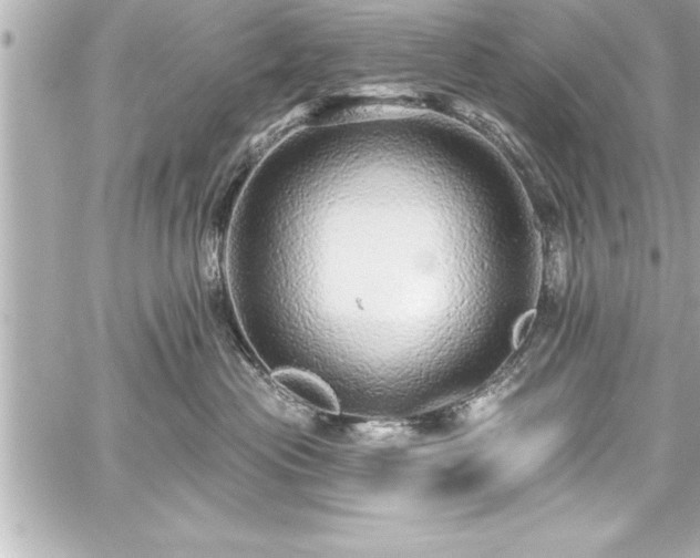 X0000059100477200510101223