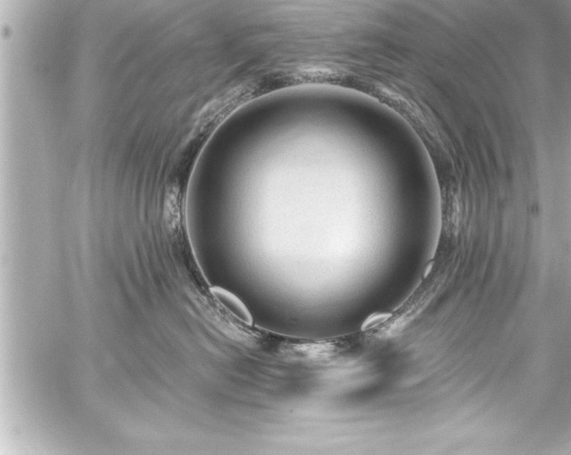 X0000059100478200510101223