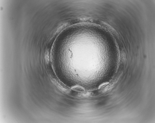 X0000059100479200510101223