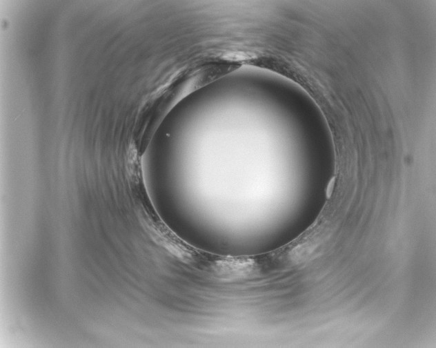 X0000059100480200510101223