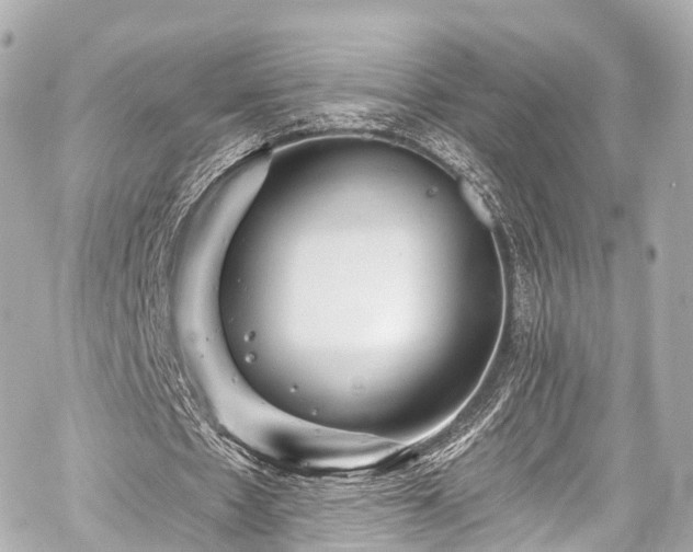 X0000059100481200510101222