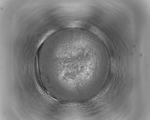 X0000059100482200510101222