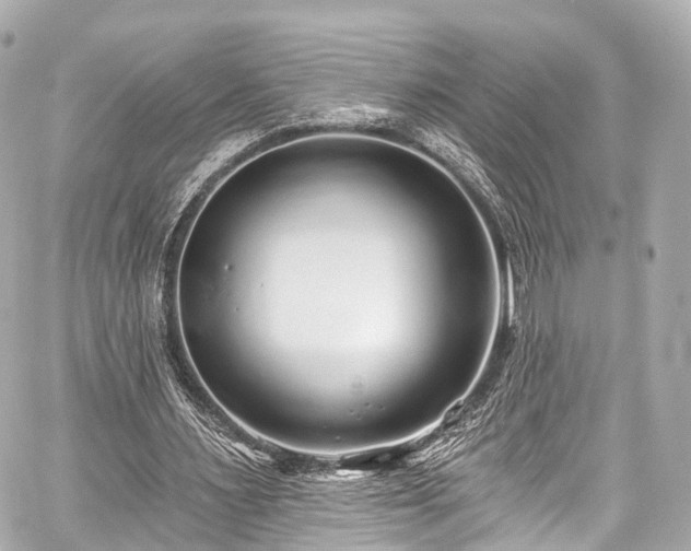 X0000059100483200510101222