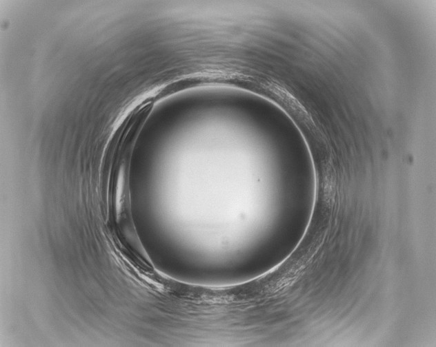 X0000059100484200510101222