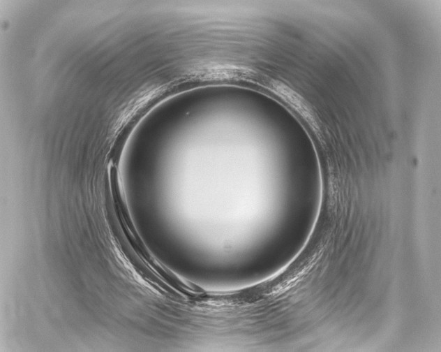 X0000059100485200510101222