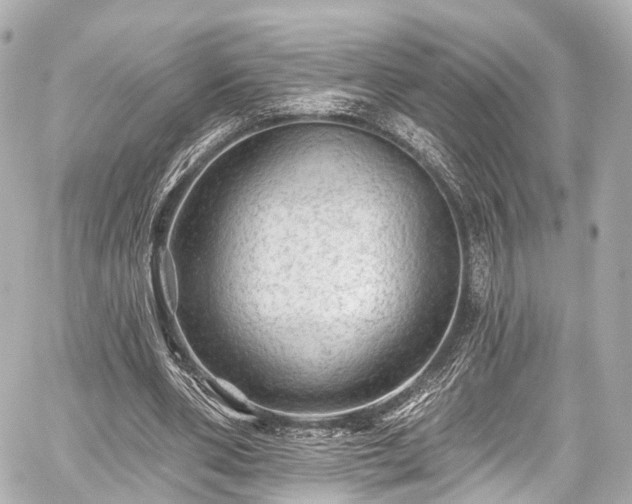 X0000059100486200510101222