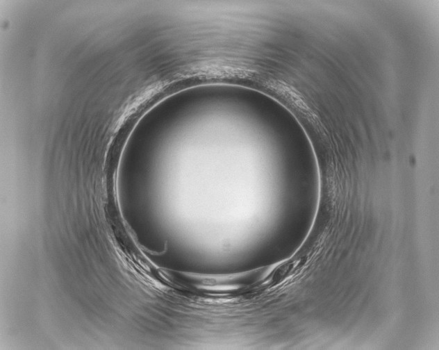 X0000059100488200510101222