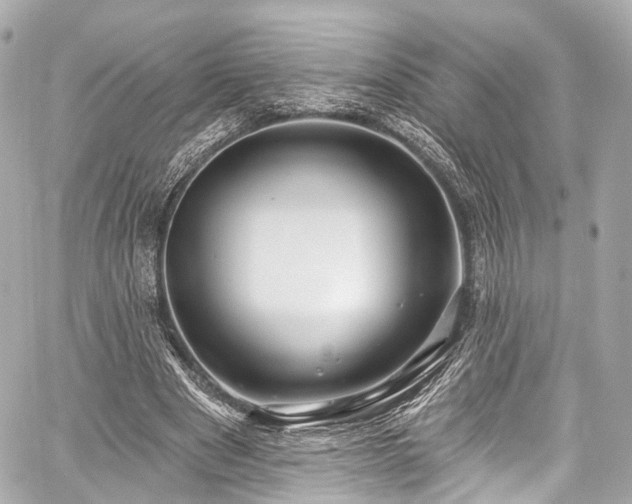 X0000059100489200510101222