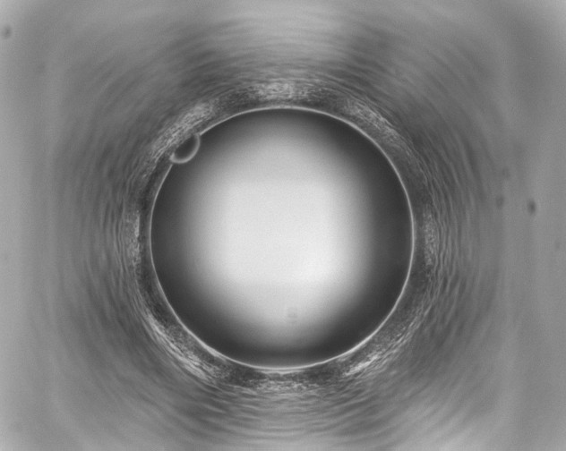 X0000059100490200510101222