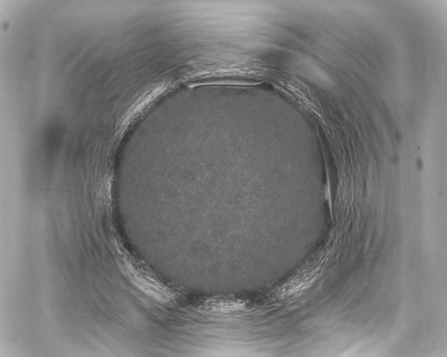 X0000059100491200510101222