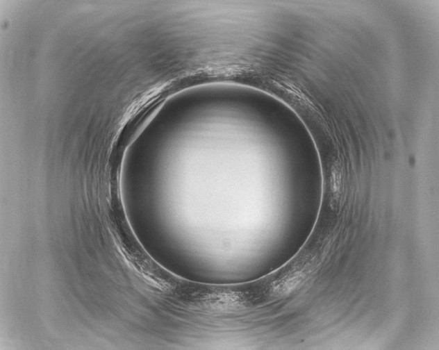 X0000059100492200510101222