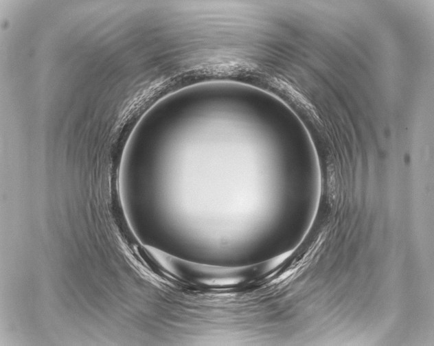 X0000059100493200510101222