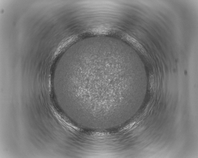 X0000059100494200510101222