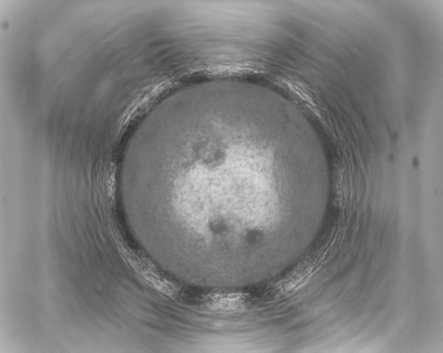 X0000059100495200510101222