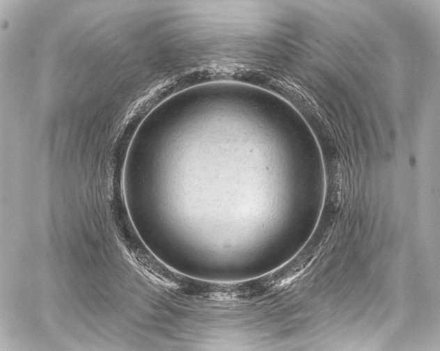 X0000059100496200510101222