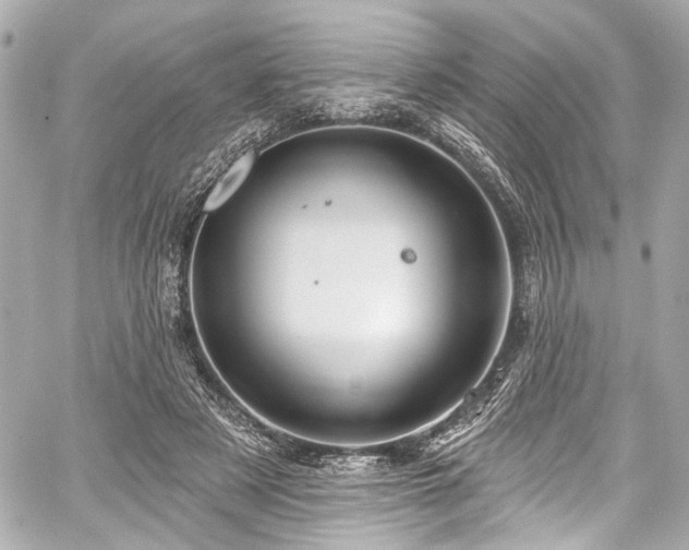 X0000059100497200510101222