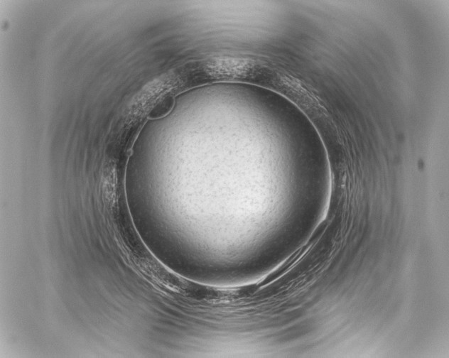 X0000059100498200510101222