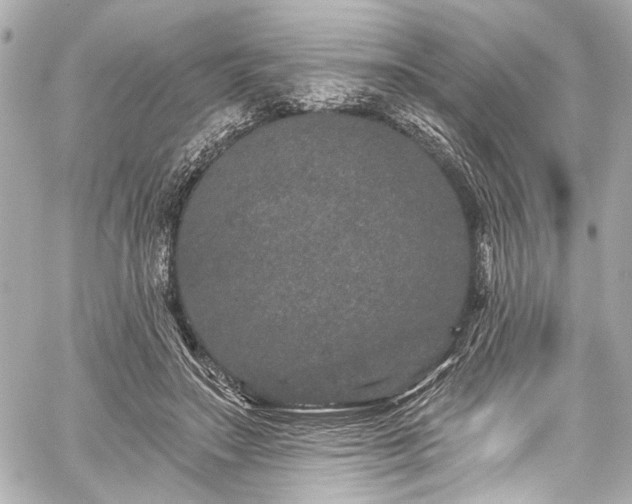 X0000059100499200510101222