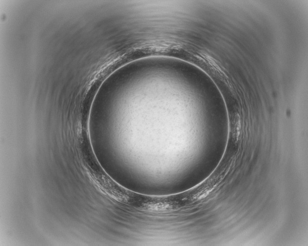 X0000059100500200510101222