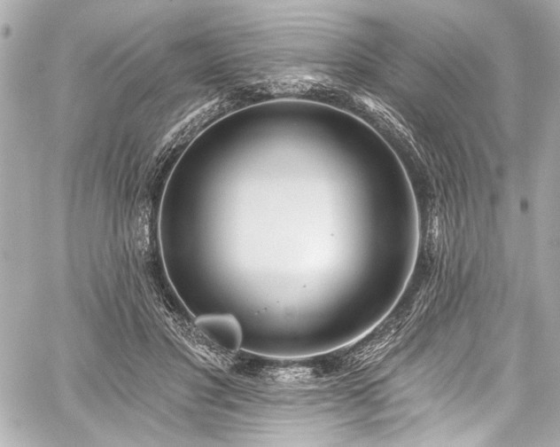 X0000059100501200510101222