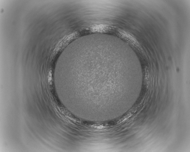 X0000059100502200510101222