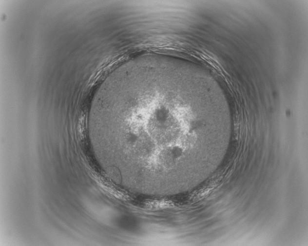 X0000059100503200510101222