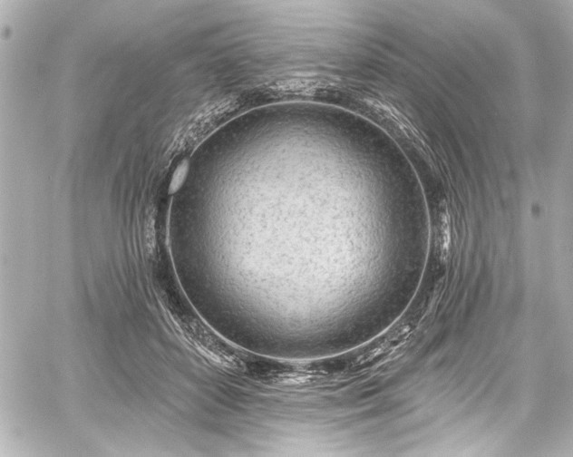 X0000059100504200510101222